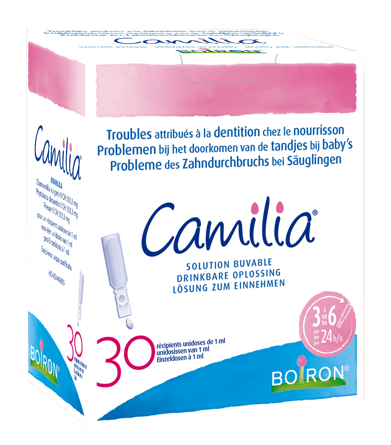 Camilia
